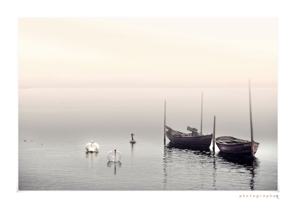 Niebla sobre el lago - Nebel am See