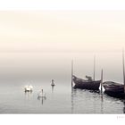 Niebla sobre el lago - Nebel am See