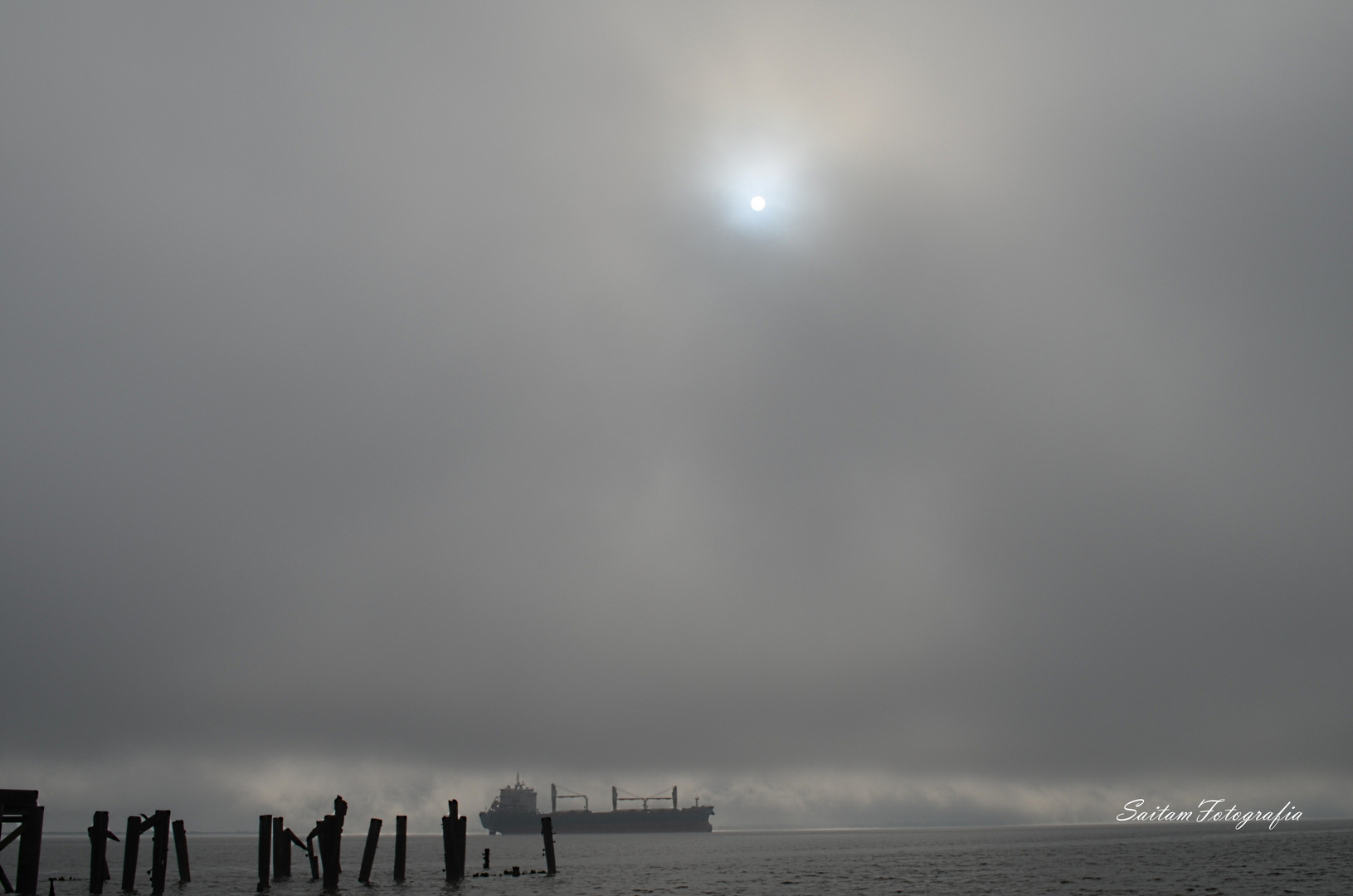 niebla sobre el rio