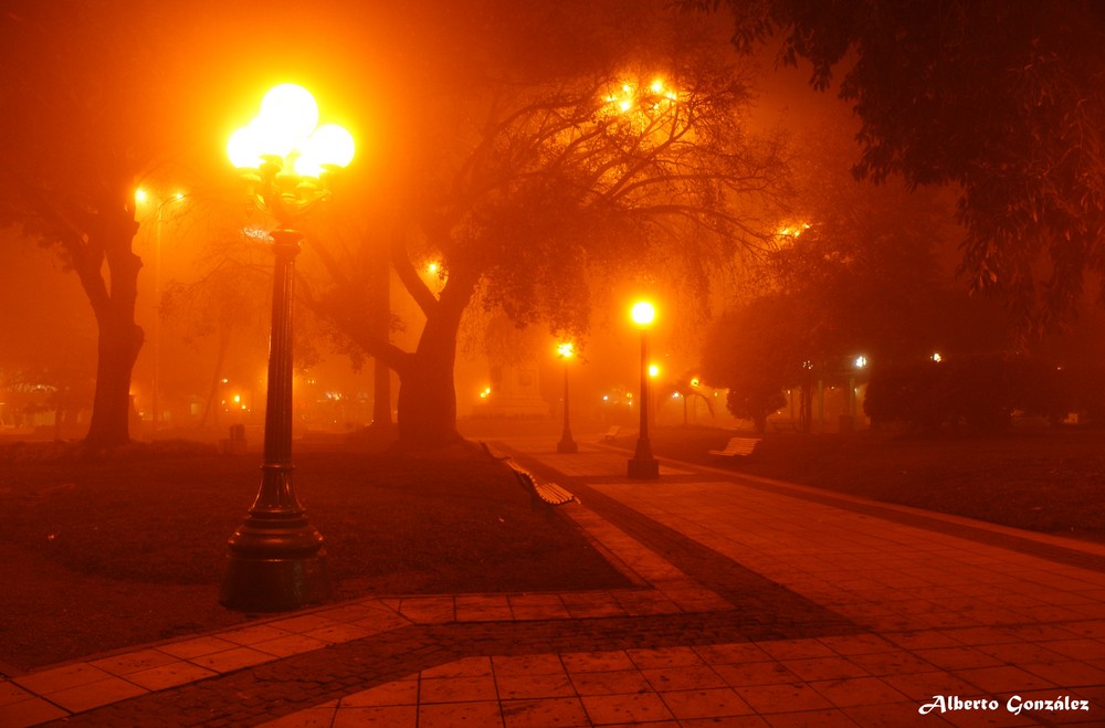 Niebla sobre mi plaza