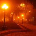 Niebla sobre mi plaza