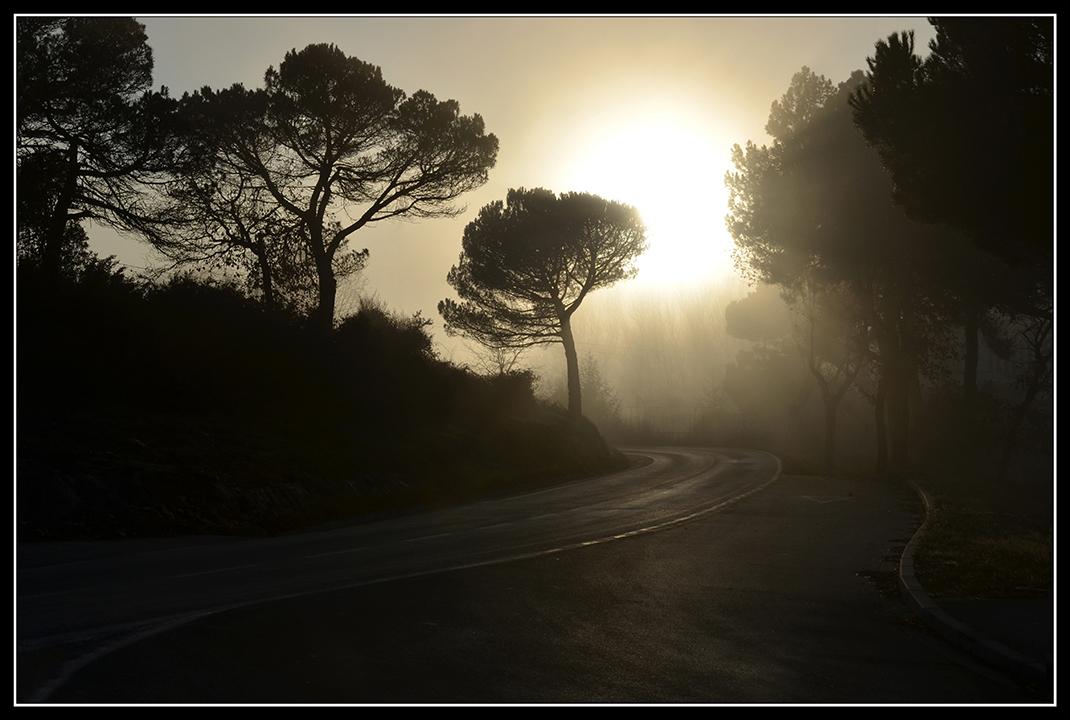 Niebla vespertina