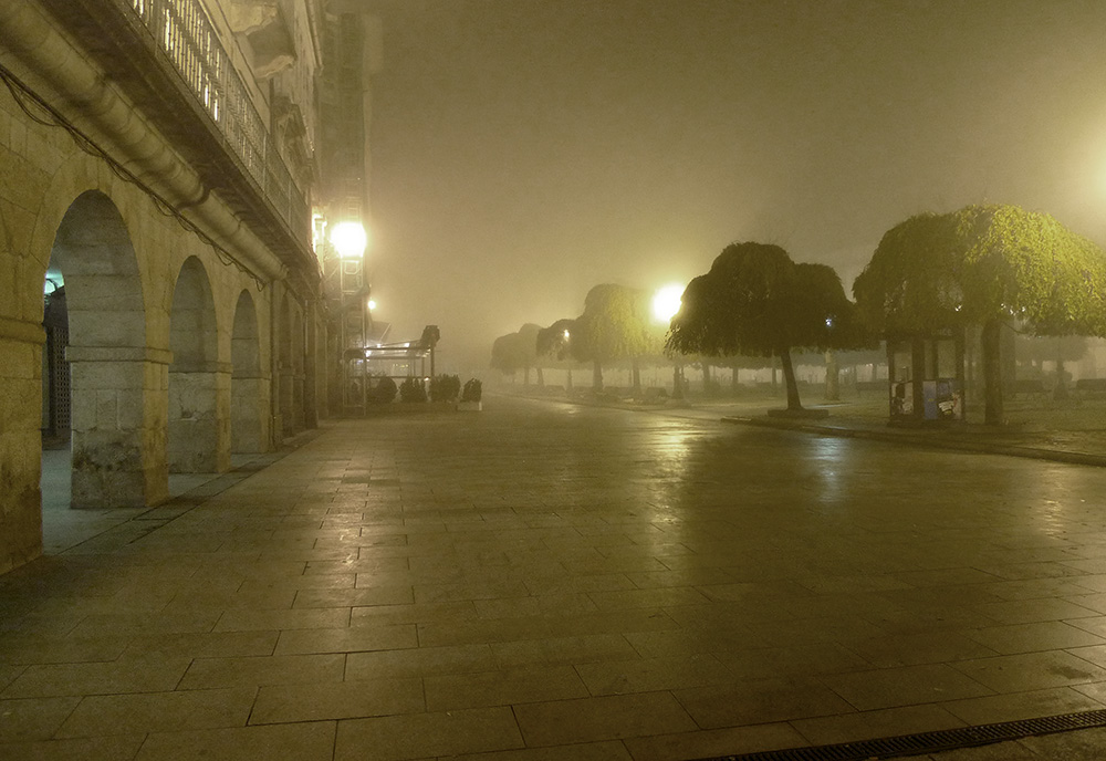 Niebla y frio