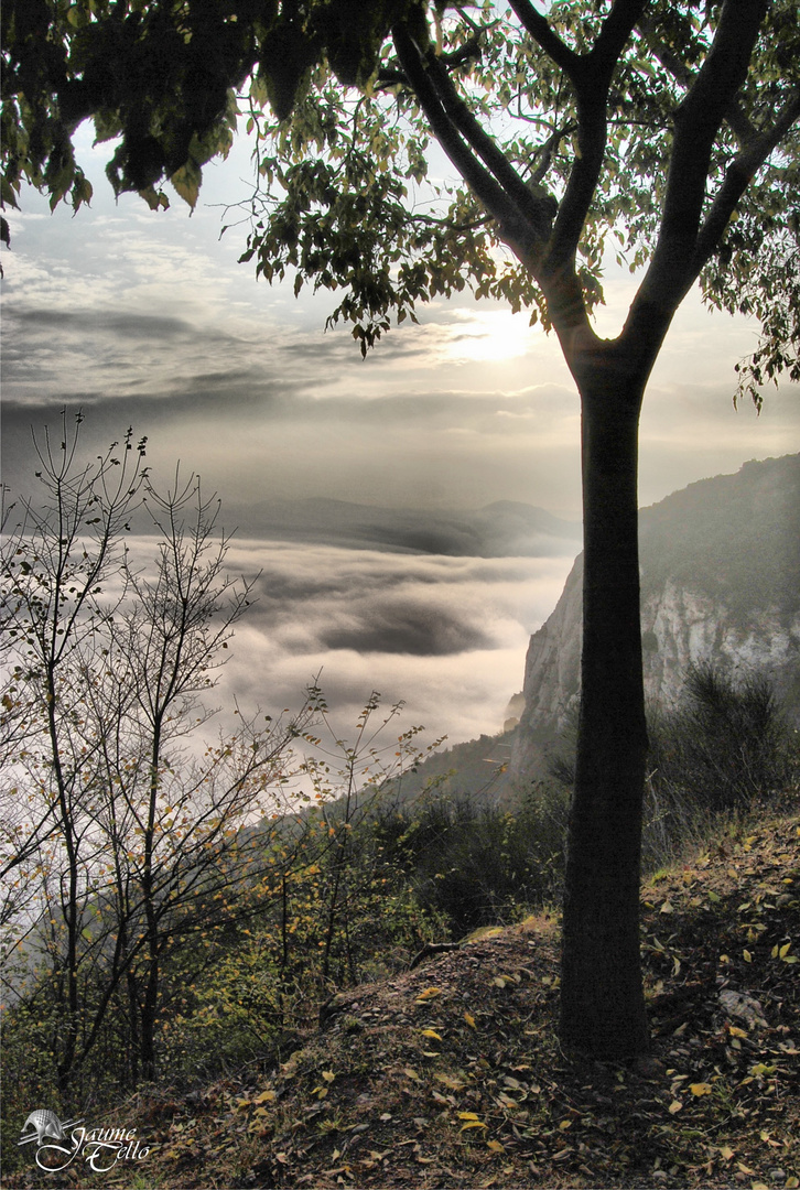 NIEBLA Y NUBES BAJAS