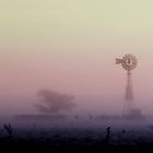 niebla y pampa al amanecer