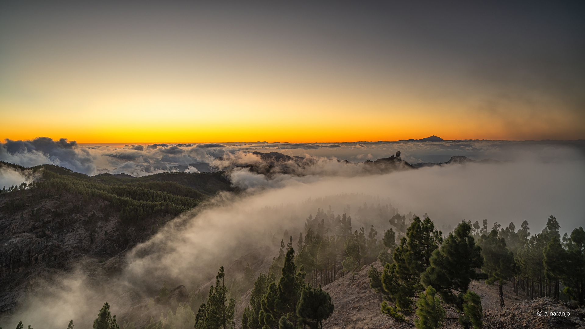 NIEBLAS EN PICO VIENTO  GRAN CANARIA