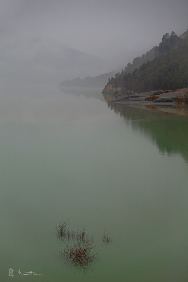 Nieblas y reflejos