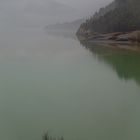 Nieblas y reflejos