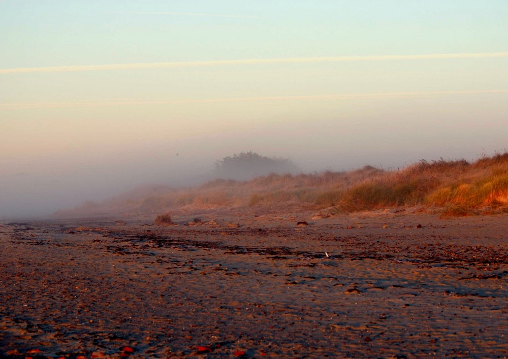 Nieblum im Morgennebel