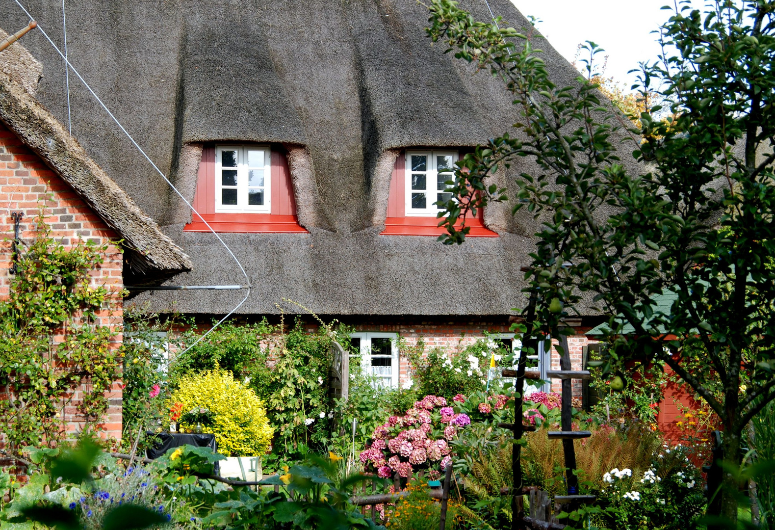 Nieblumer Garten