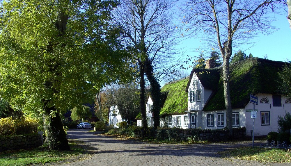 Nieblumer Herbstimpressionen 1