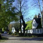 Nieblumer Herbstimpressionen 1