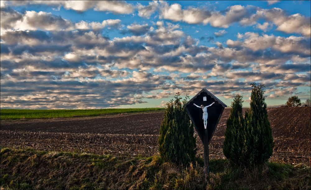 Niederbayerische Landschaft