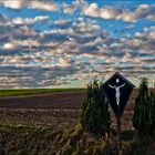 Niederbayerische Landschaft