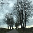 Niederbayern im Regen 