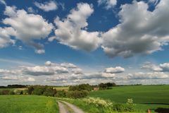 Niederbergische Landschaft: Sommer