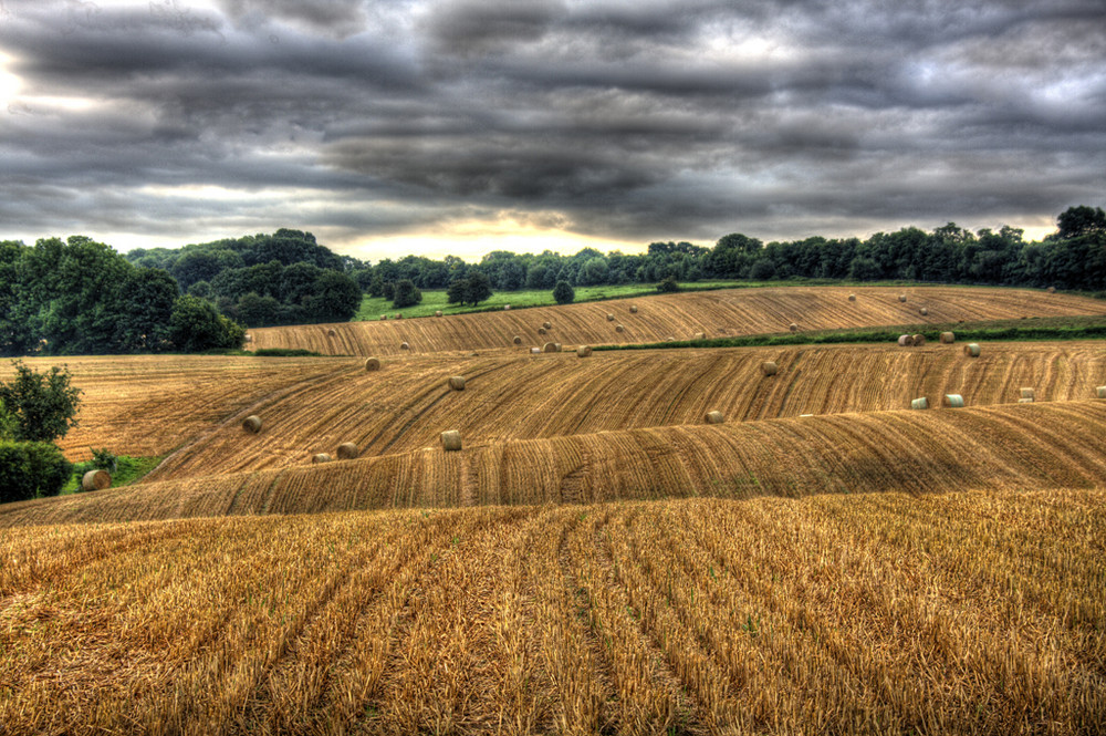 Niederbergisches Land