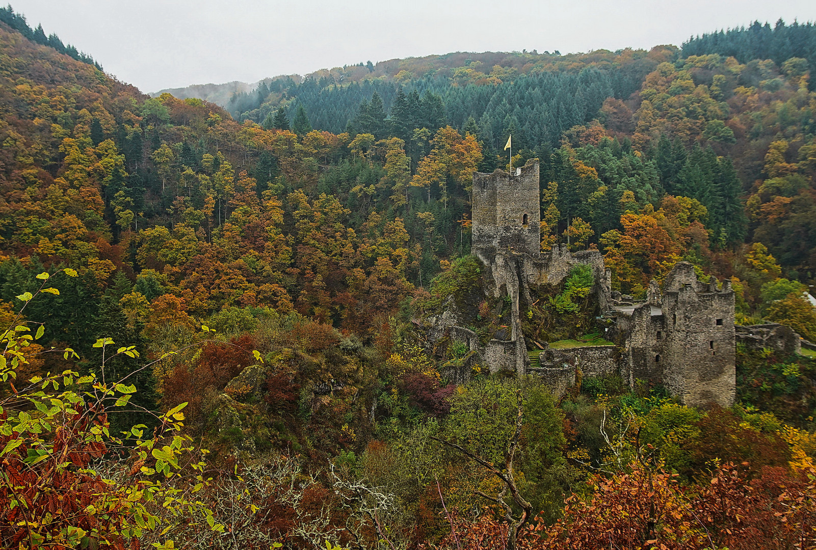 Niederburg in Manderscheid