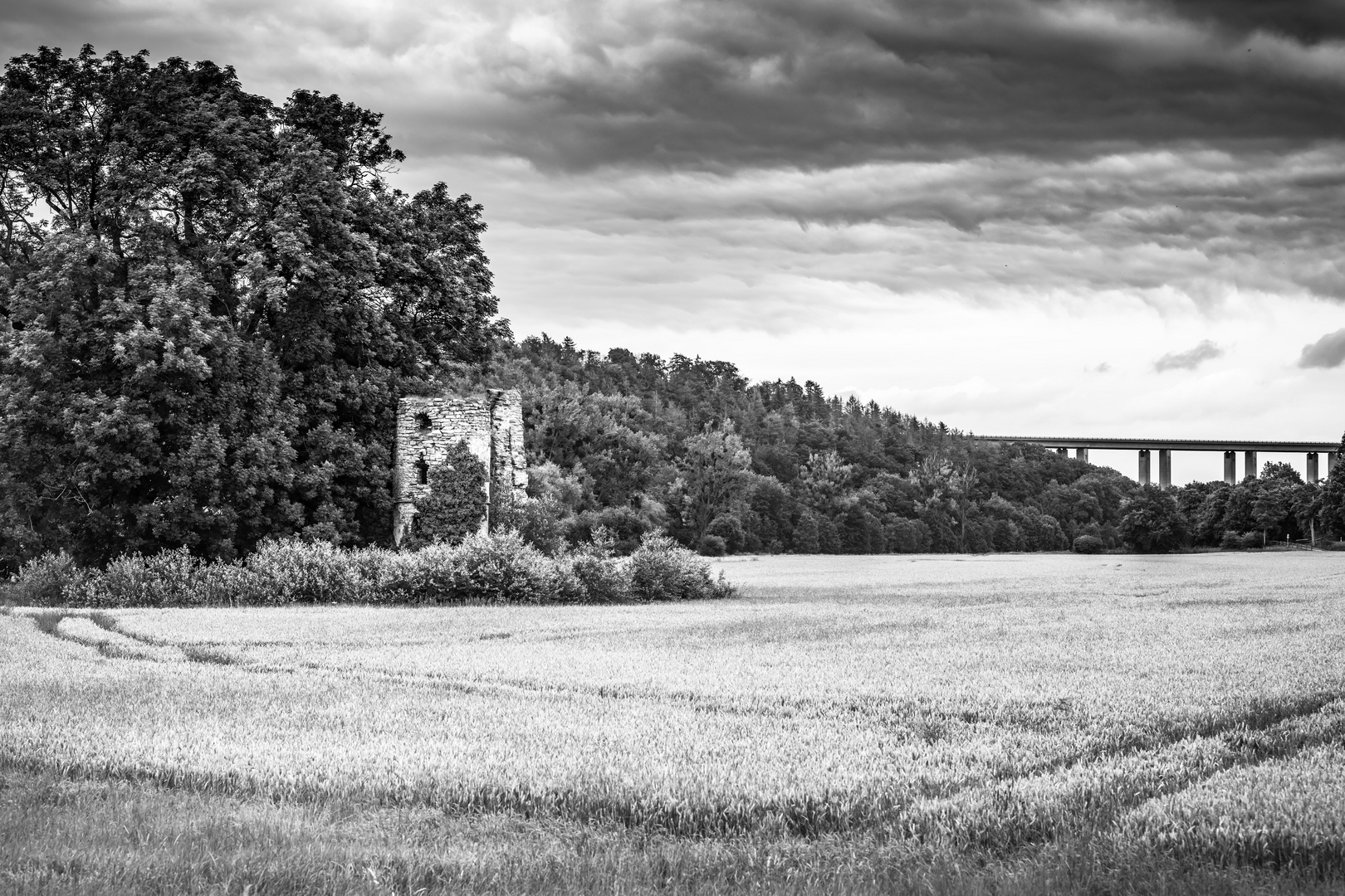 Niederburg,Erpenburg Ruine