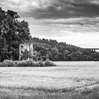 Niederburg,Erpenburg Ruine