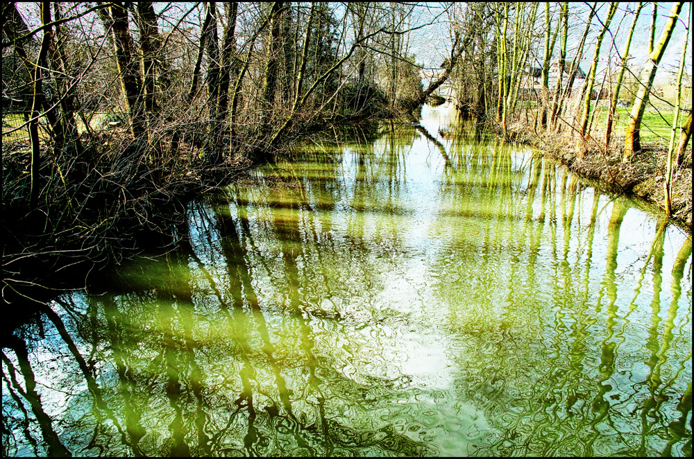 Niederdorfelden Mühlgraben