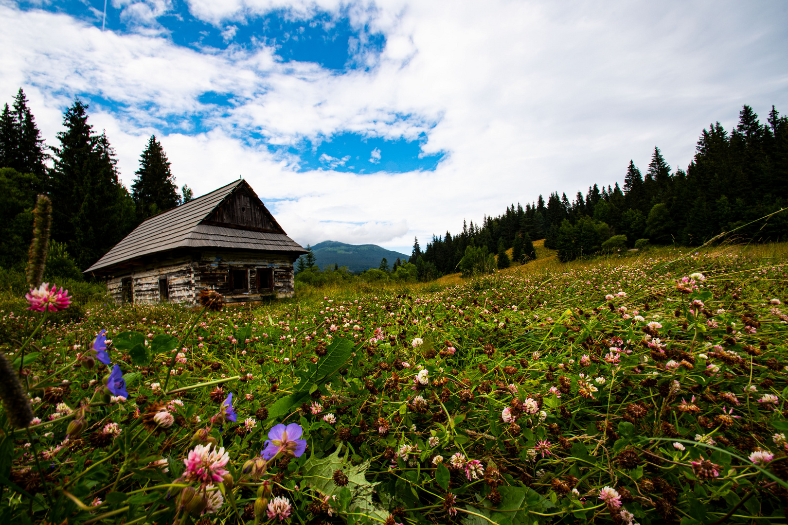 Niedere Tatra