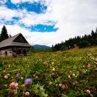 Niedere Tatra