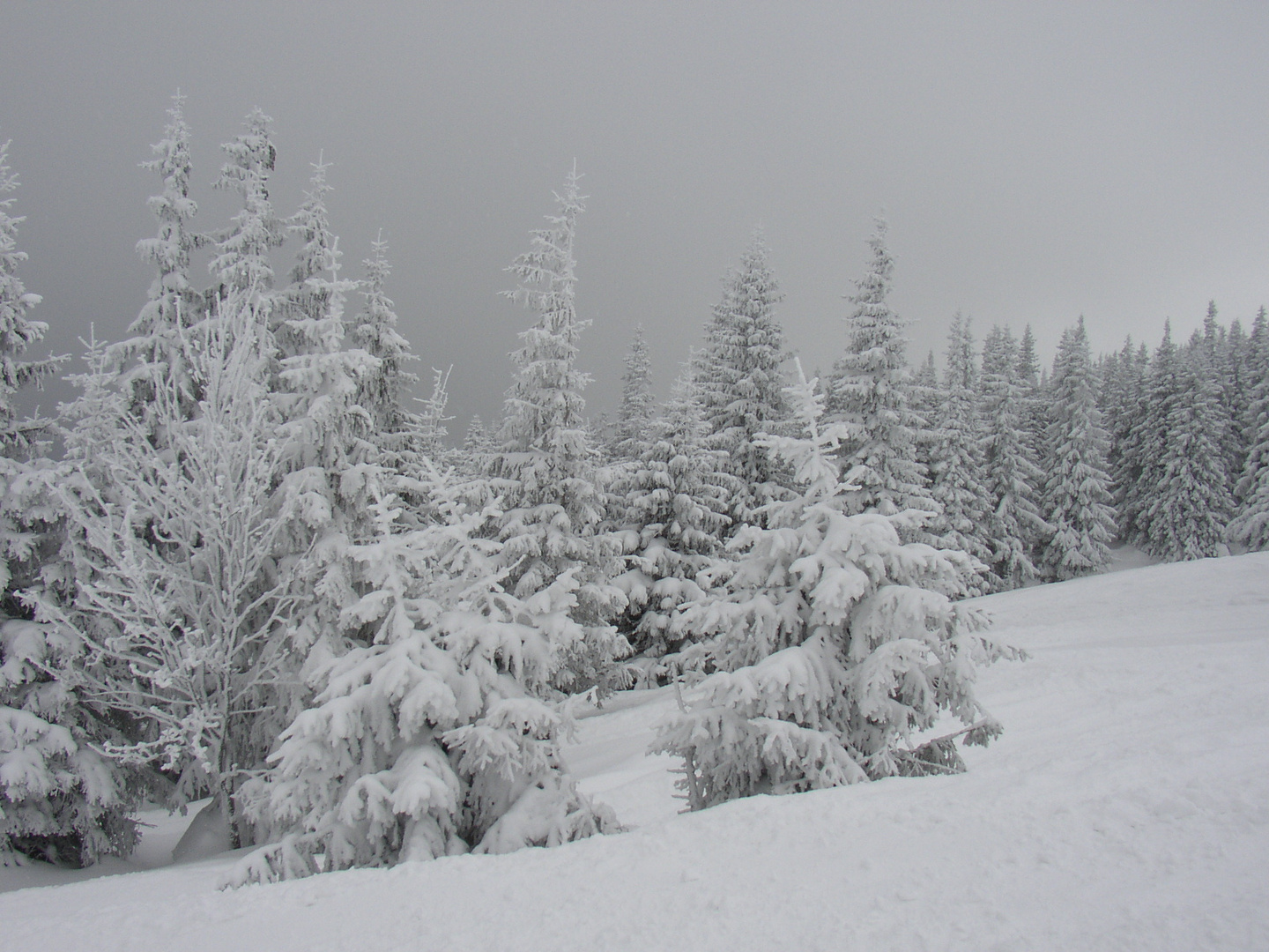 niedere tatra slowakei