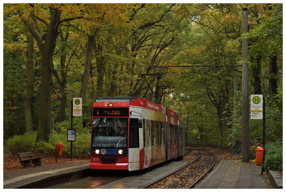 Niederflurig durch Rostock