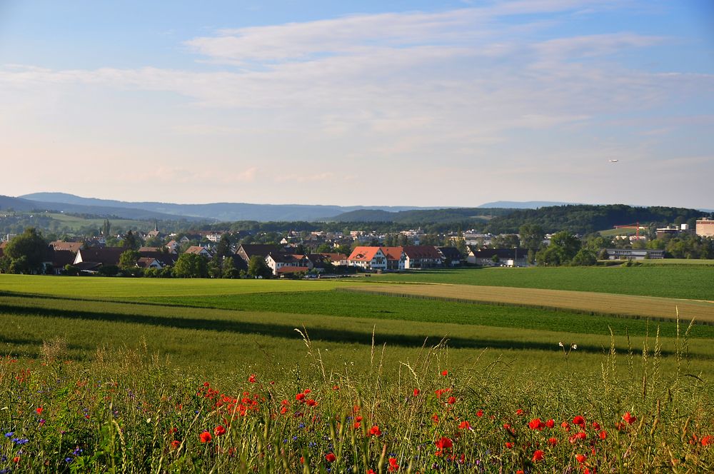 Niederhasli in Sicht