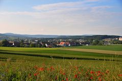 Niederhasli in Sicht