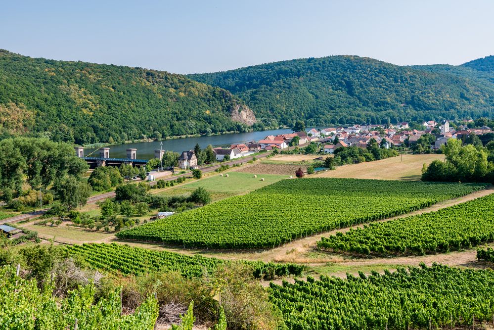 NiederhausenNahe 23 Foto & Bild fluss, weinberg, stausee Bilder auf