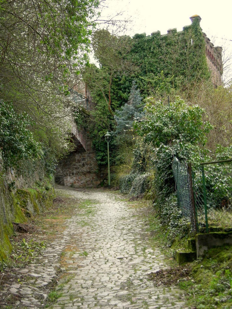 Niederheimbacher Kuhweg - Märchenweg (17)