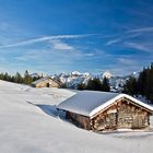 Niederhorn Zwitserland