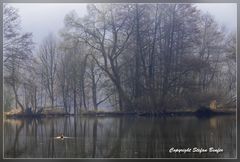 Niederlaaspher Weiher