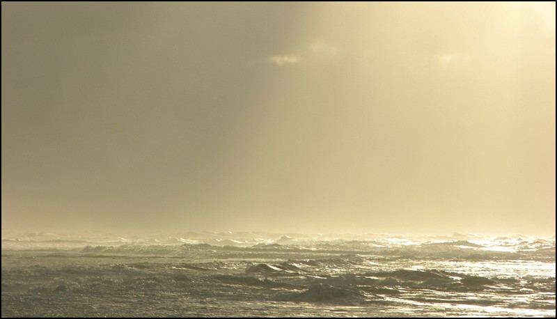 Niederlände-Texel. Wind, Regen, Sonnenstrahlen