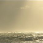 Niederlände-Texel. Wind, Regen, Sonnenstrahlen