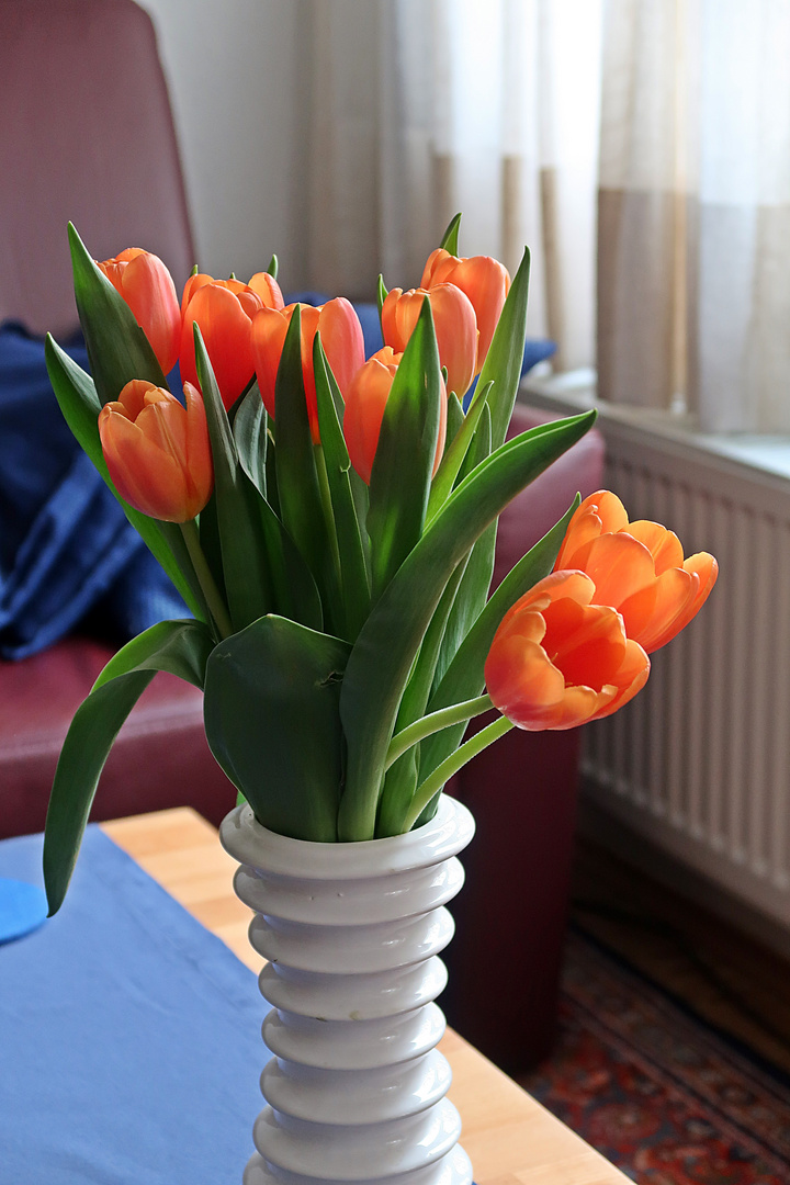 Niederländische Tulpen