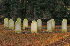 Niederländischer Ehrenfriedhof Frankfurt/Oberrad 02