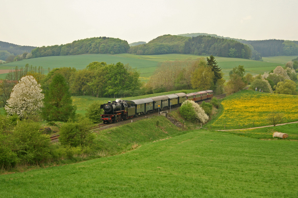 Niederländischer Gast