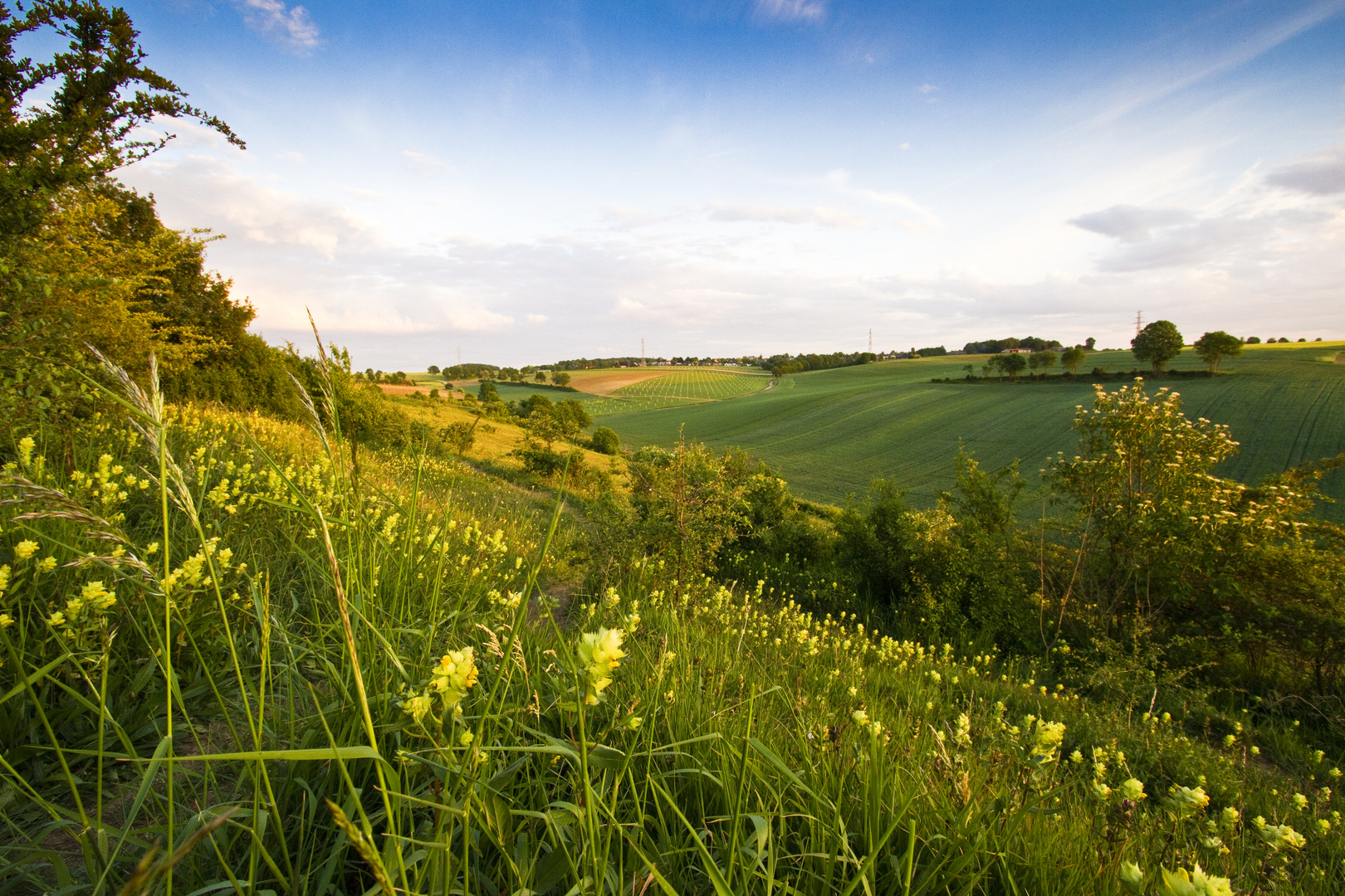 Niederländisches Limburg