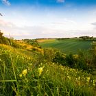 Niederländisches Limburg