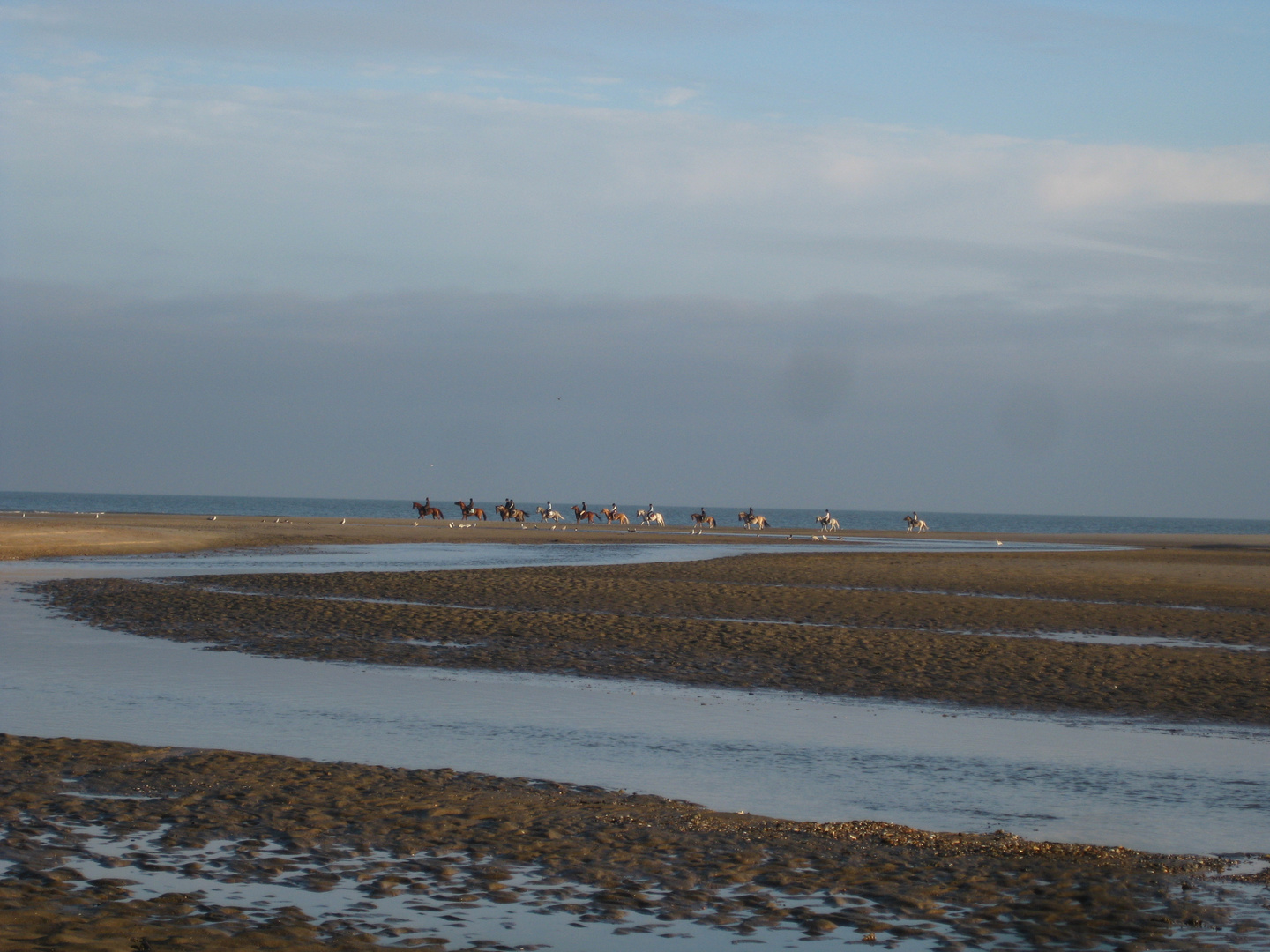 Niederlande am Meer