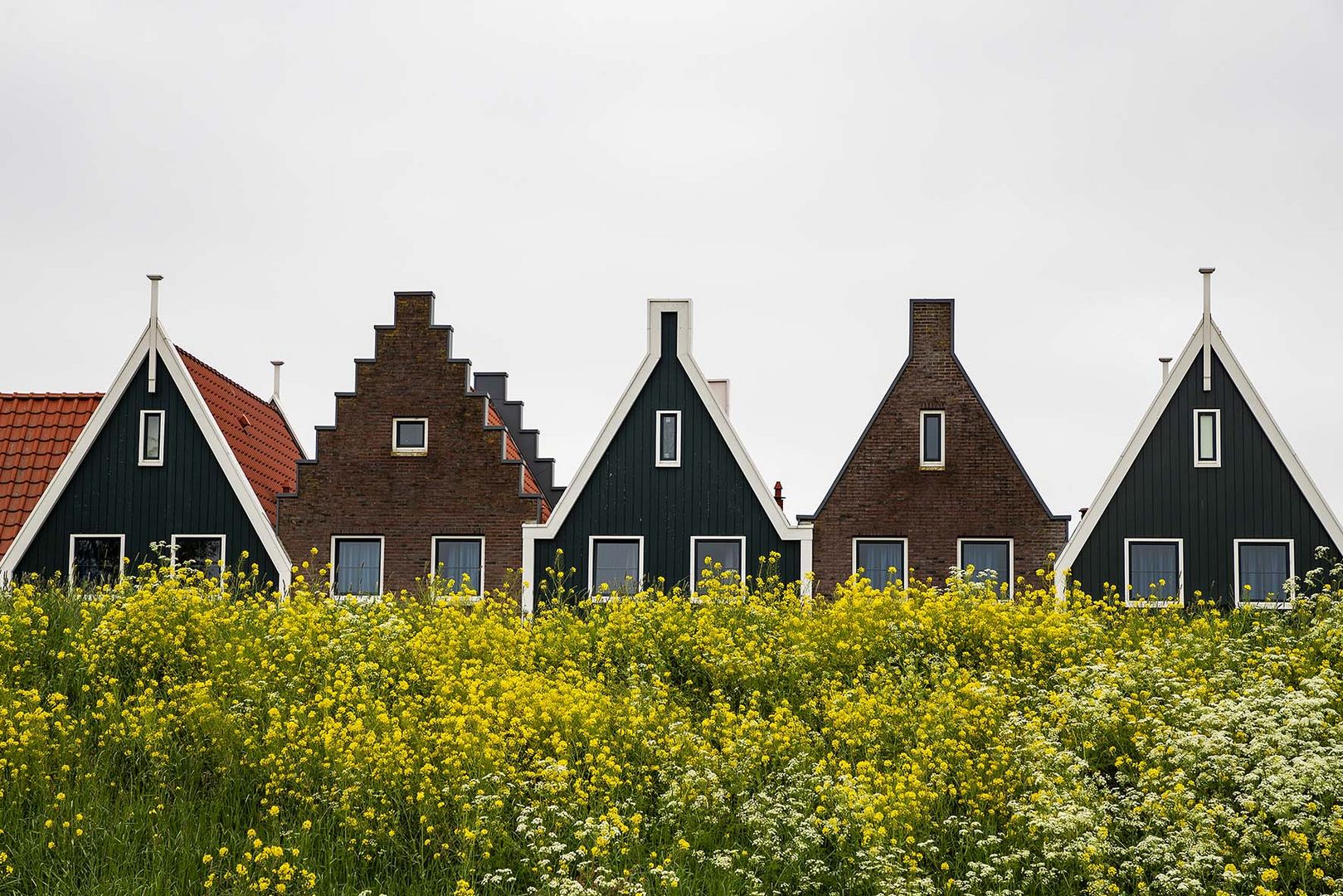 Niederlande / Landschaft