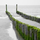 Niederlande:Zeeland:Strand