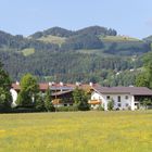 Niederndorf bei Kufstein/Österreich