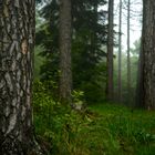 Niederösterreich, Rohr im Gebirge