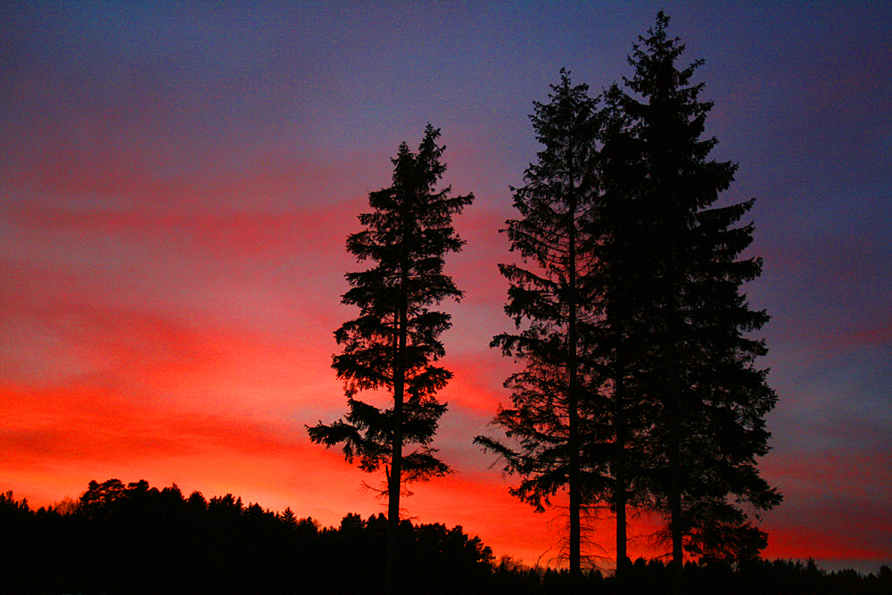 Niederösterreich - Sonnenuntergang im Februar