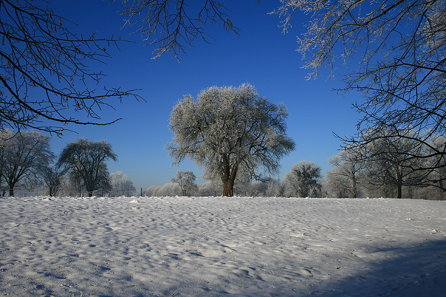 Niederrhein 1