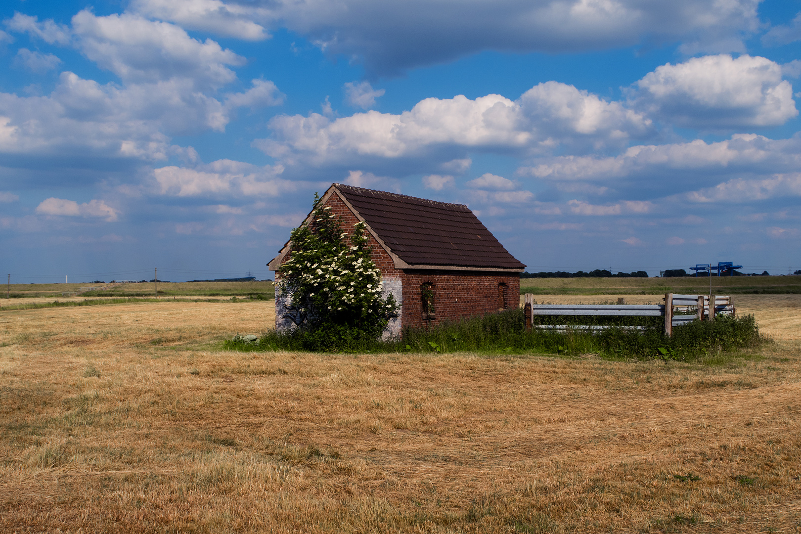 Niederrhein (2)